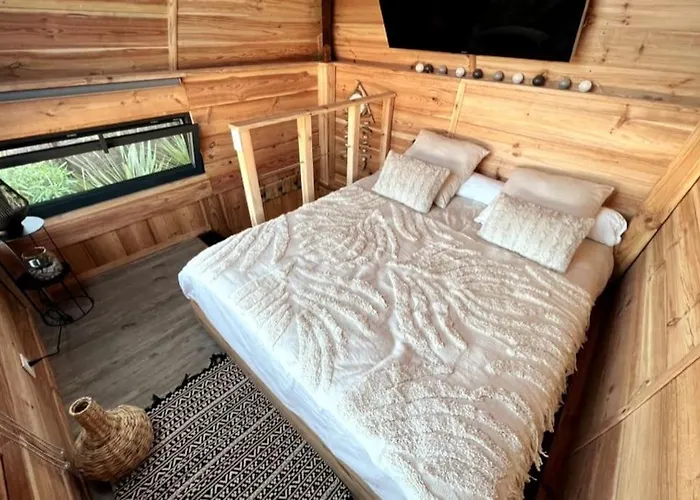 Et Jaccuzy Sur La * Biscarrosse